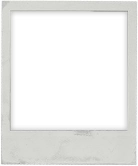 polaroid