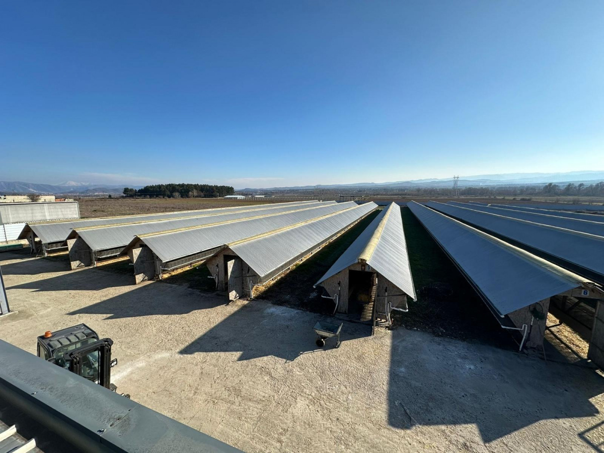 Image: Van Ansem Group opened up a NEW Mink farm in Kastoria Greece